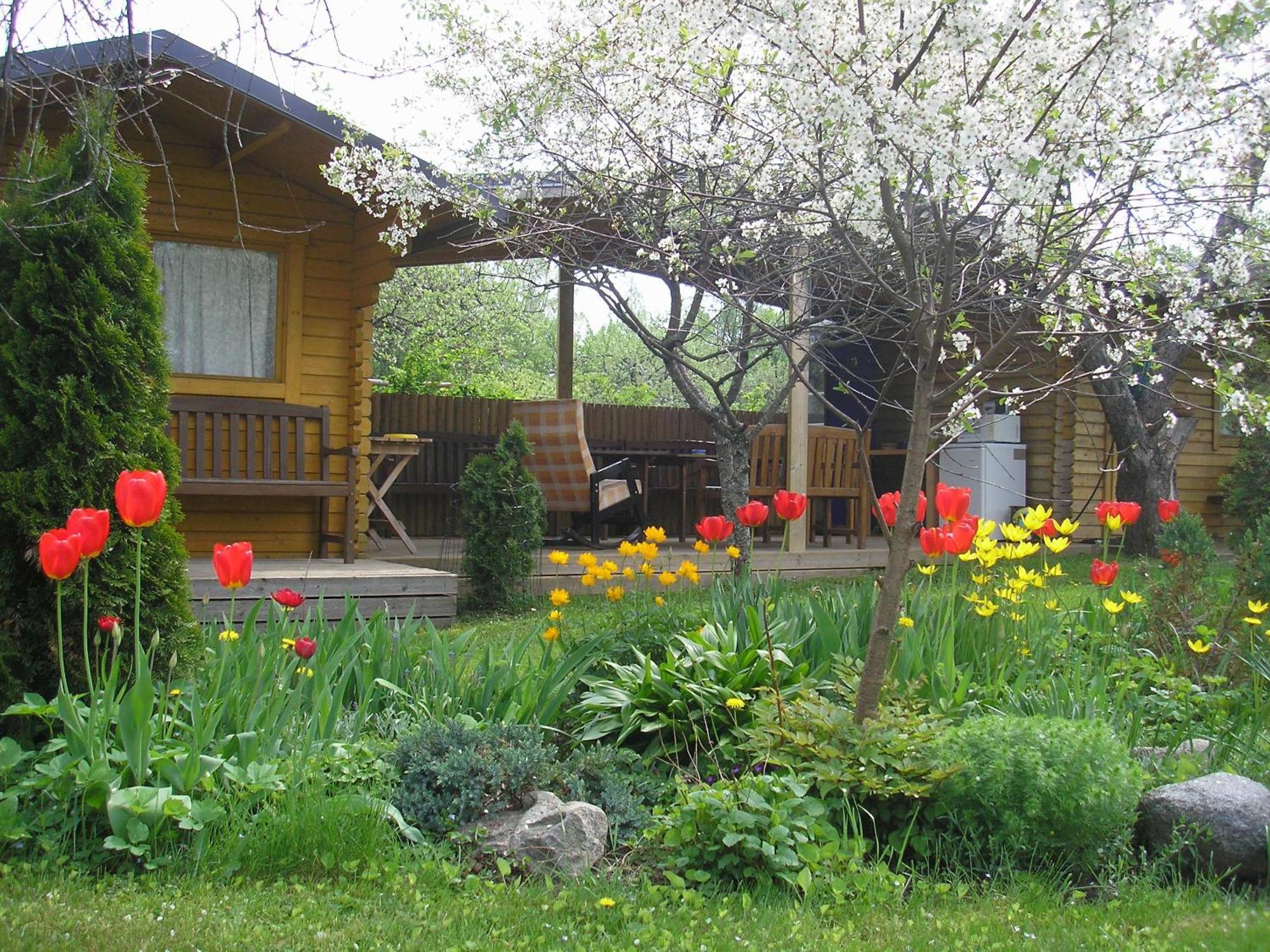 ויליאנדי Kaare Guesthouse מראה חיצוני תמונה